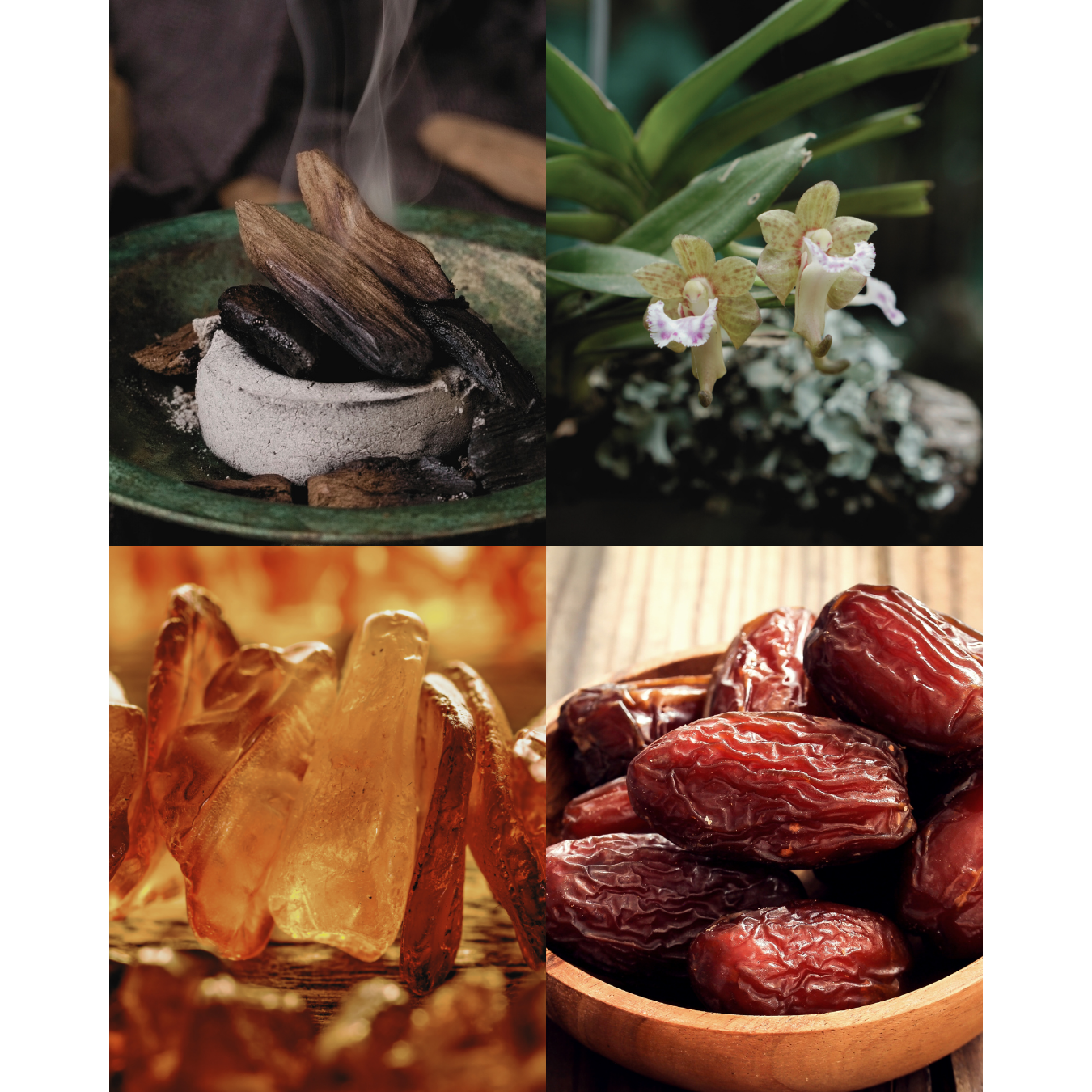 Gold Oud The Parfum Story